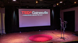 TEDx Talk at TEDxGainesville
